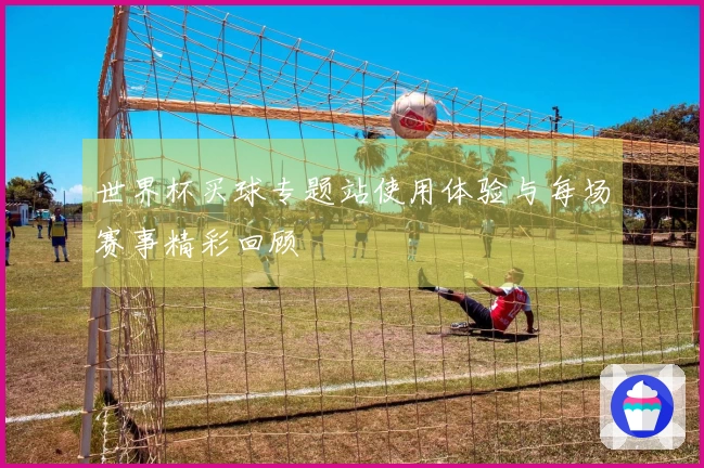 世界杯买球专题站使用体验与每场赛事精彩回顾