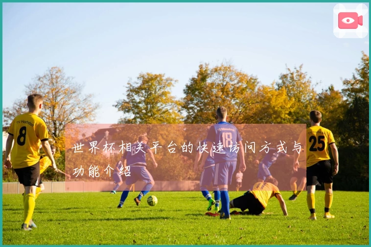 世界杯相关平台的快速访问方式与功能介绍