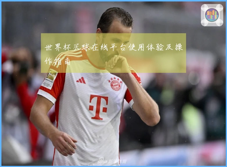世界杯买球在线平台使用体验及操作指南