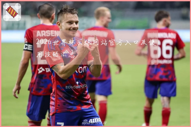 2026世界杯买球网站官方入口及使用技巧汇总