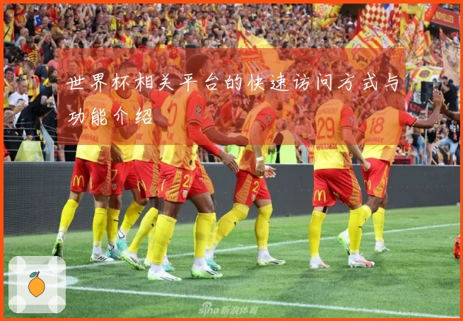 世界杯相关平台的快速访问方式与功能介绍