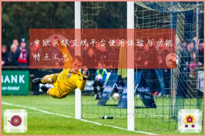 中欧买球正规平台使用体验与功能特点汇总
