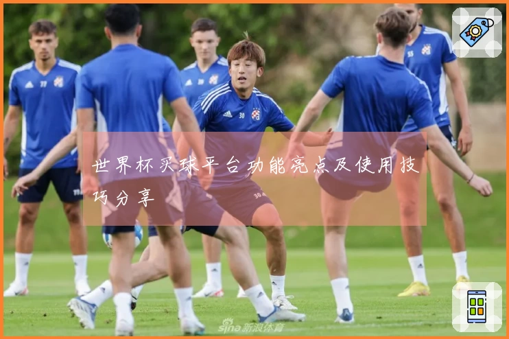 世界杯买球平台功能亮点及使用技巧分享
