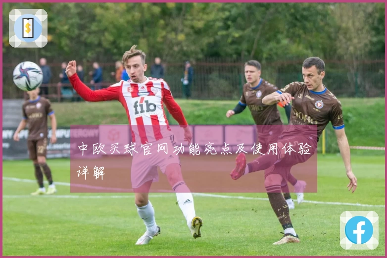 中欧买球官网功能亮点及使用体验详解
